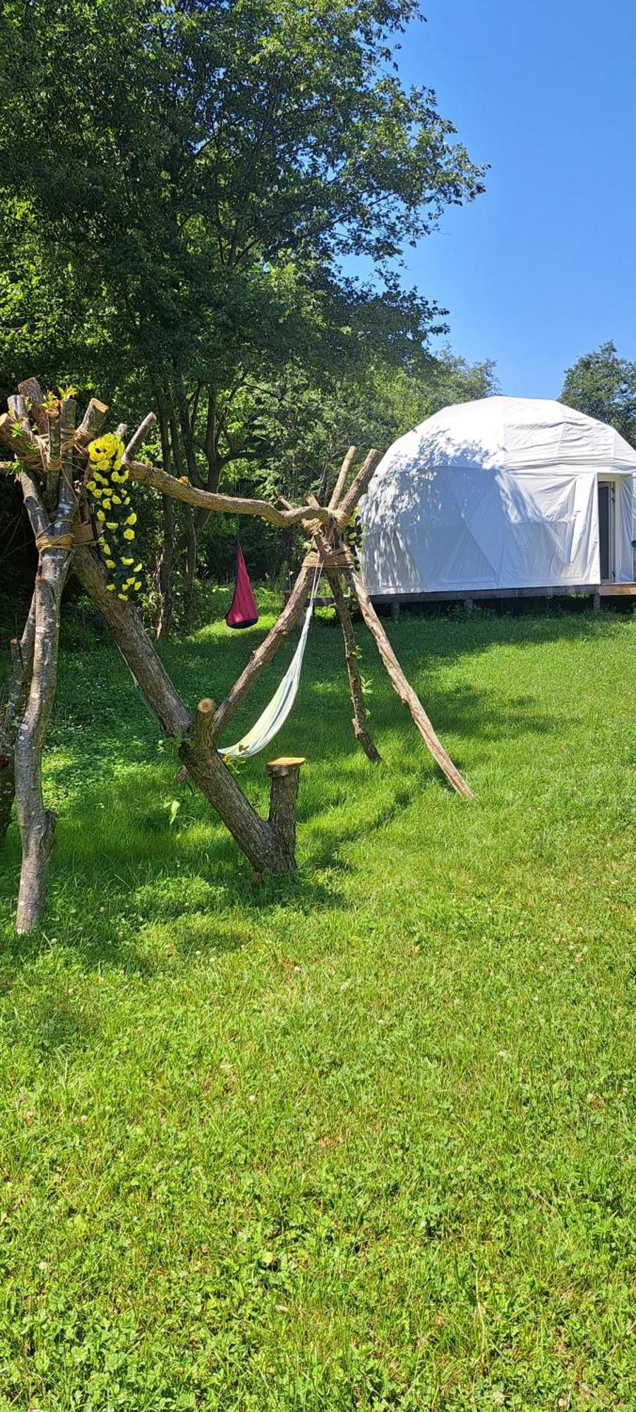 Forest Glamping Braszów Zewnętrze zdjęcie