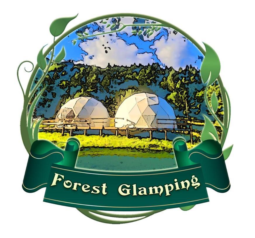 Forest Glamping Braszów Zewnętrze zdjęcie