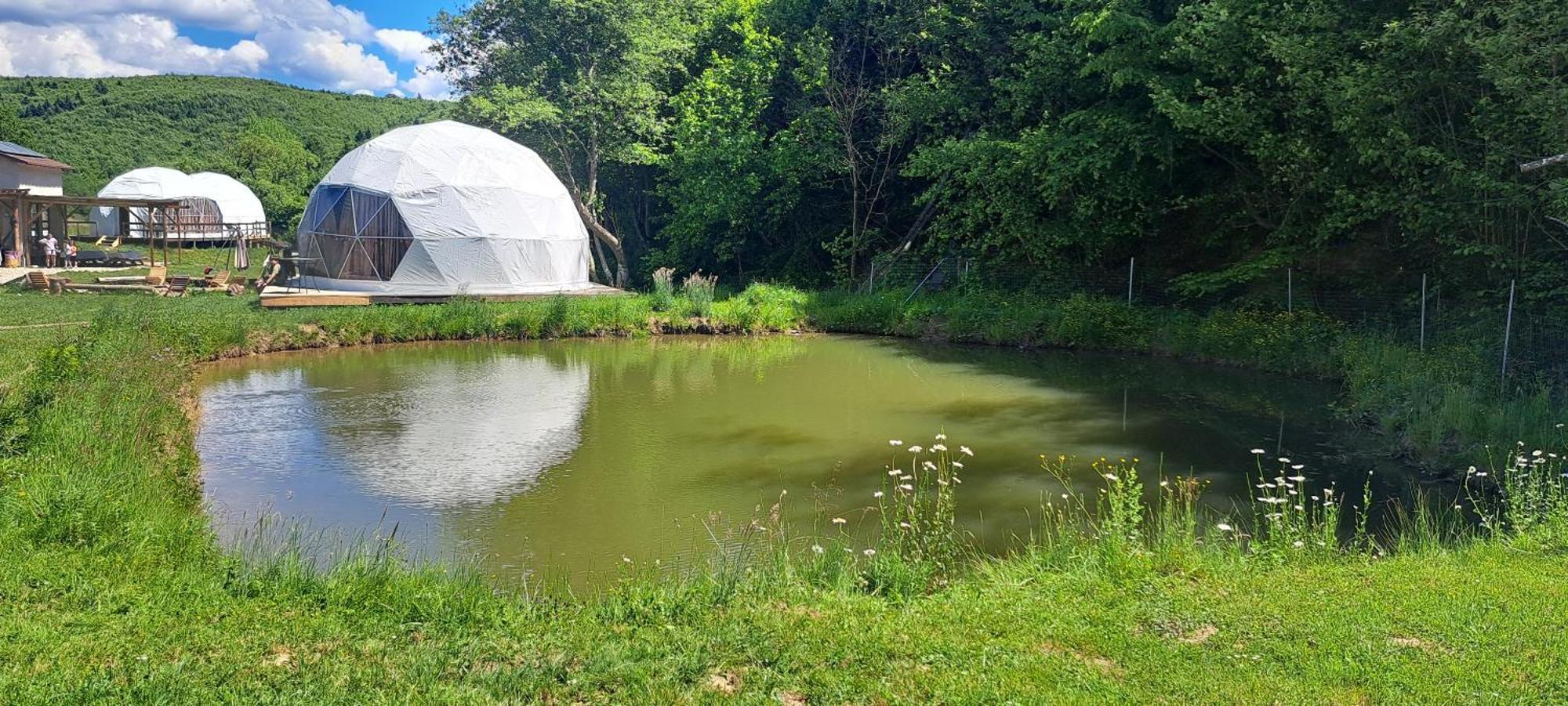Forest Glamping Braszów Zewnętrze zdjęcie