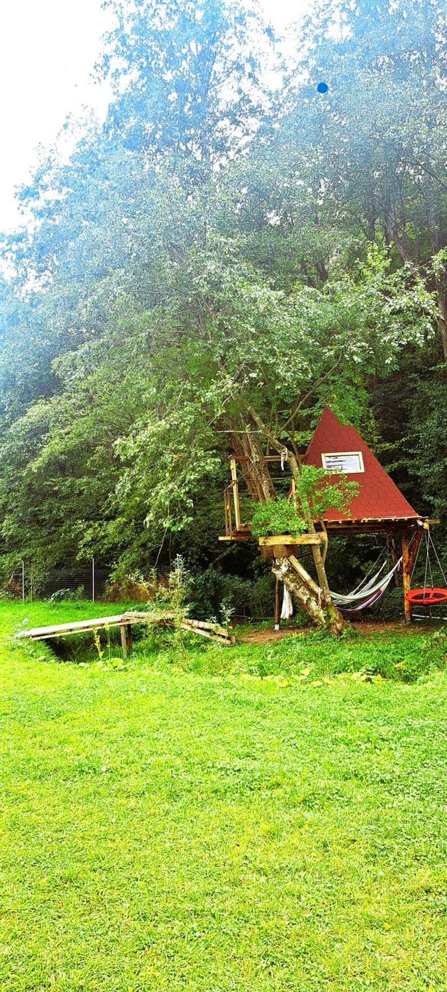 Forest Glamping Braszów Zewnętrze zdjęcie