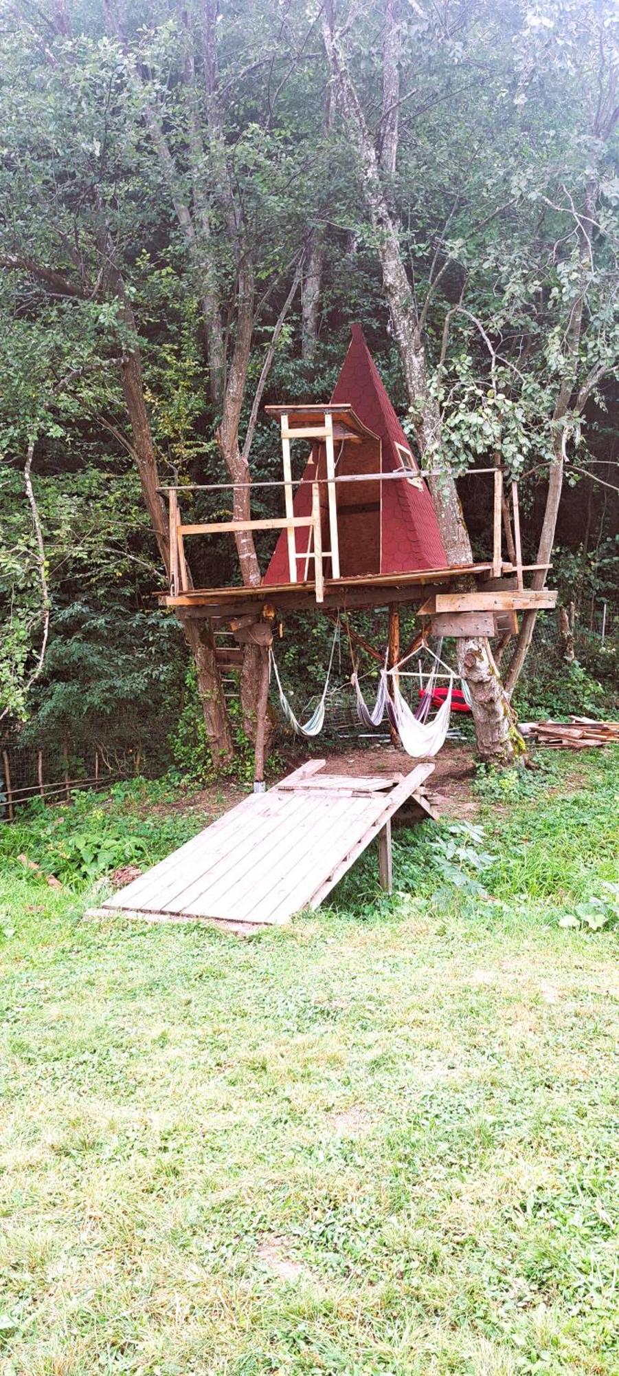 Forest Glamping Braszów Zewnętrze zdjęcie
